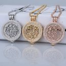 35mm coin necklace sets coin holder fit my 33mm coin pendant disc interchangeable fashion