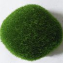 Simulation Moss Irregular Green Stones Grass Aquarium Garden Plant DIY Micro Landscape Decorations
