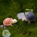 Mini Turtle Tortoise Miniature Fairy Garden Decoration DIY Doll House Terrarium