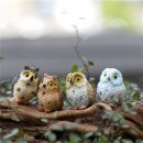 Owl Figurine Miniature Animal Decoration 4pcs