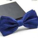 Men’s Adjustable Polka Dot Bow Tie Polyester