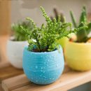 Plastic Flower Pot Succulent Plant Flowerpot For Home Office Decoration 5 Color