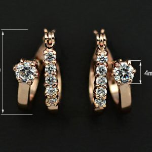 Rose Gold Plated Double Circle with Cubic Zircon Diamond Hoop Earring