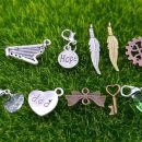 Charms-11-pcs-01 on clicknorder.pk for online shoping pakistan