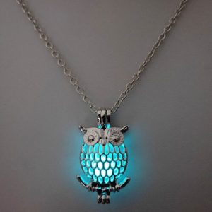 Owl Necklace on clicknorder pk