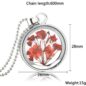 Dried Flowers Round Glass Statement Necklaces Silver Plated Chain Long Necklaces For Women - Image 4