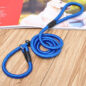 Dog Leash Training Dog P Leash - Image 5