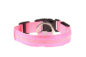 Glowing LED Dog Collar - Image 5