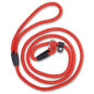 Dog Leash Training Dog P Leash - Image 2