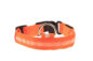 Glowing LED Dog Collar - Image 4